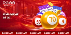 Nuôi dàn đề là gì?