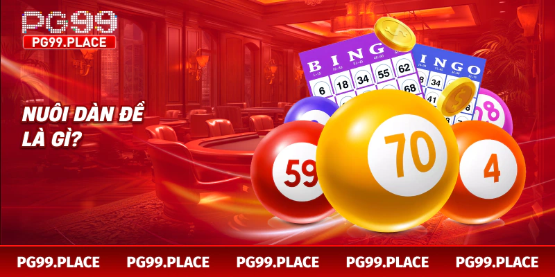 Nuôi dàn đề là gì?
